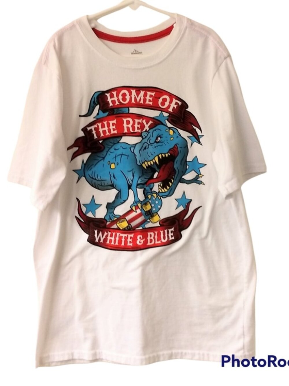 Boy's T-Rex Skateboard Patriotic T-shirt Size XL 14-16